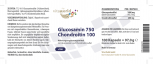 Glucosamina 750 + Condroitina 100 100 Cápsulas