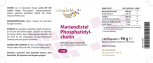 Mariendistel Phosphatidylcholin HOCHDOSIERT mit 800 mg Silymarin 120 Kapseln Vegan/Vegetarisch