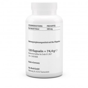 Reishi Polvo Orgánico 500 mg 120 Cápsulas VEGANO / VEGETARIANO